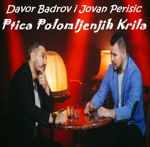 Davor-Badrov-i-Jovan-Perisic---Ptica-polomljenih-krila.jpg