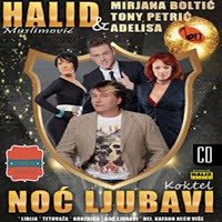 2016---Noc-Ljubavi-MirjanaTonyAdelisa.jpg