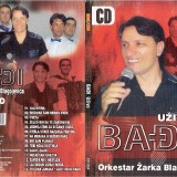 Stanko-Nedeljkovic-Badji-2008---Uzivo