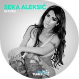 Seka-Aleksic---Chivas-2014