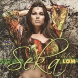 Seka-Aleksic---Lom-2012