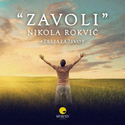 Nikola-Rokvic---Zavoli.jpg