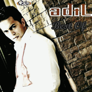 Adil---Best-of-2012.gif
