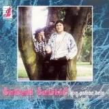 Saban-Saulic-1995---3---Dva-galeba-bela