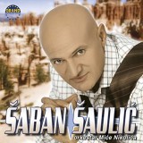 Saban-Saulic-2003-1---Sadrvani