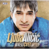 Ljuba-Alicic---Uveli-cvet-2011