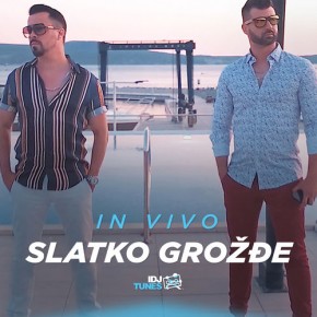 In-Vivo---Slatko-Grozdje.jpg