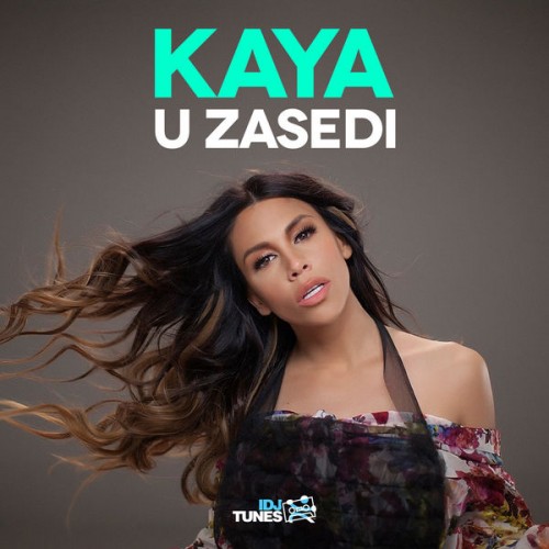 U-Zasedi---Single-1.jpg